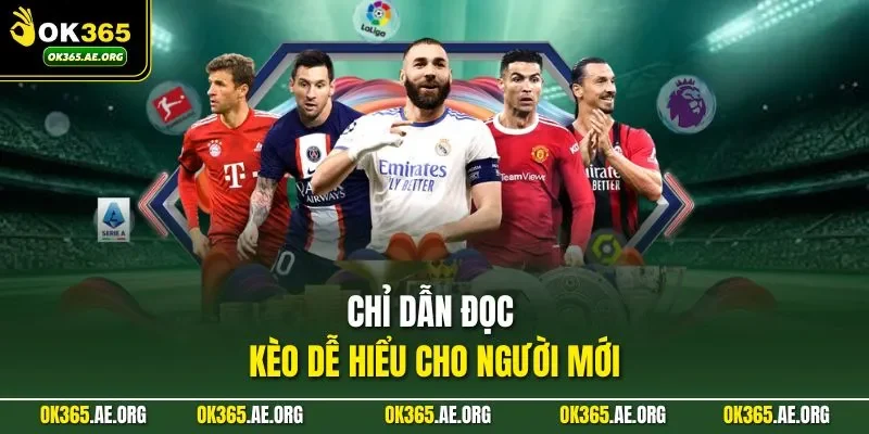 Kèo Cả Trận Ok365 - Chiến Thuật Vào Tiền Hiệu Quả Nhất 2 Chỉ dẫn đọc kèo dễ hiểu cho người mới
